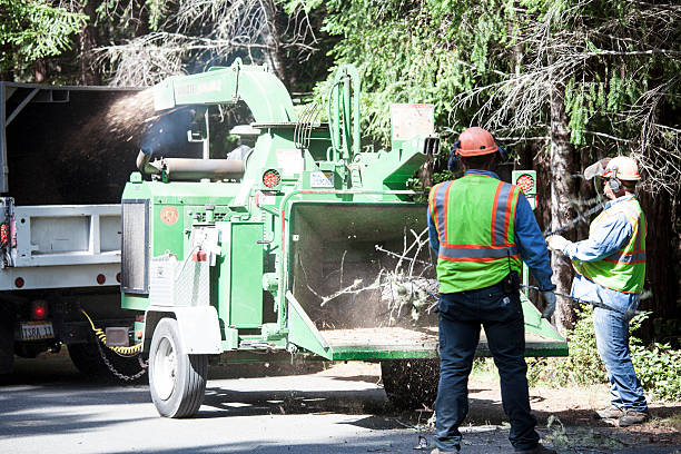 Best Firewood Processing and Delivery  in Emerald Bay, TX